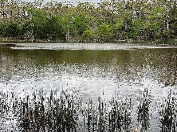 2nd image of 16841 County Road 3770