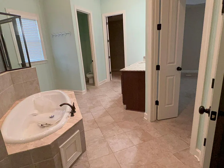 DownStairs Master Bathroom