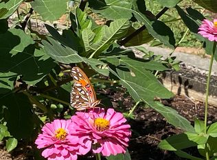 2203 Terrace Rd, Augusta, GA 30904