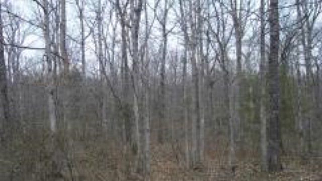 2nd image of 915 Veho Cir