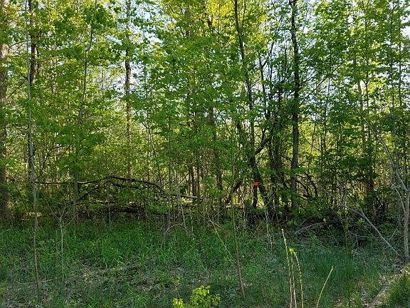 5th image of 384 County Rd