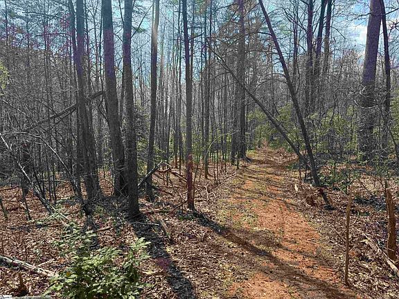 4th image of 883 Goodwin Bridge Rd