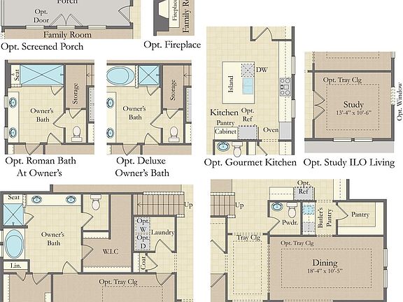 First Floor Options