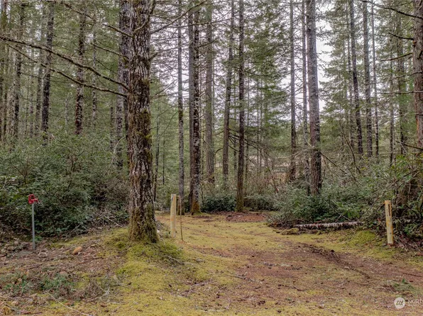 201 N Naplikai Drive, Lilliwaup, WA 98555