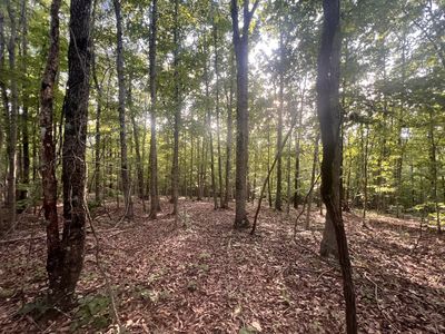 0 Vickers Rd, Big Sandy, TN, 38221