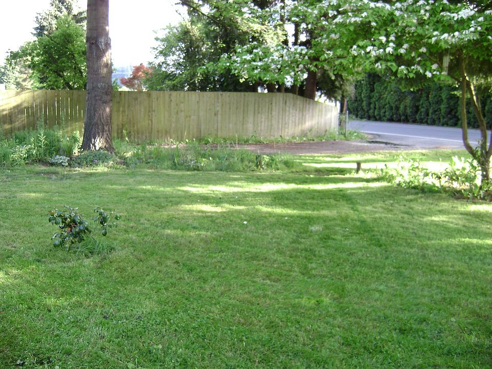 Part of the great front yard
