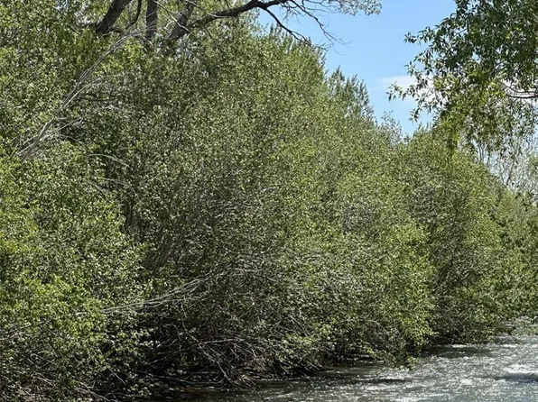 Lot 108 Prairie Wind Lane, Capulin, CO 81124