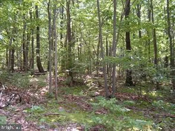 LOT 24 Bens Knob Trl, Capon Bridge, WV 26711