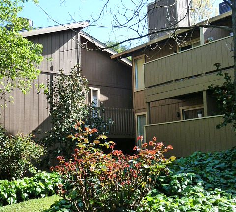 4th image of 6380 Denton Way APT 59