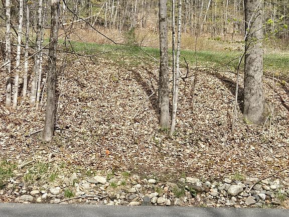 3rd image of 0 W Branch Rd