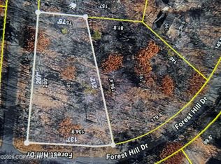 341 Birch Dr, Blakeslee, PA