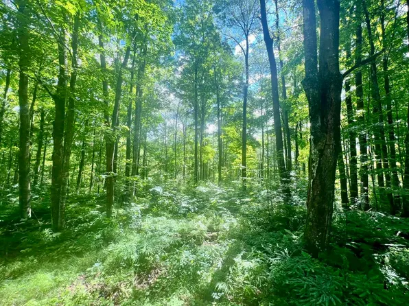 N12948 Limberg Ln #7, Athelstane, WI 54104