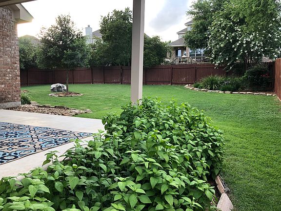 Back yard landscaping