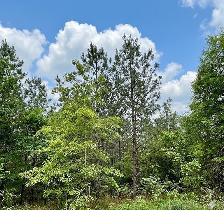 1st image of 659 Timber Creek Trl