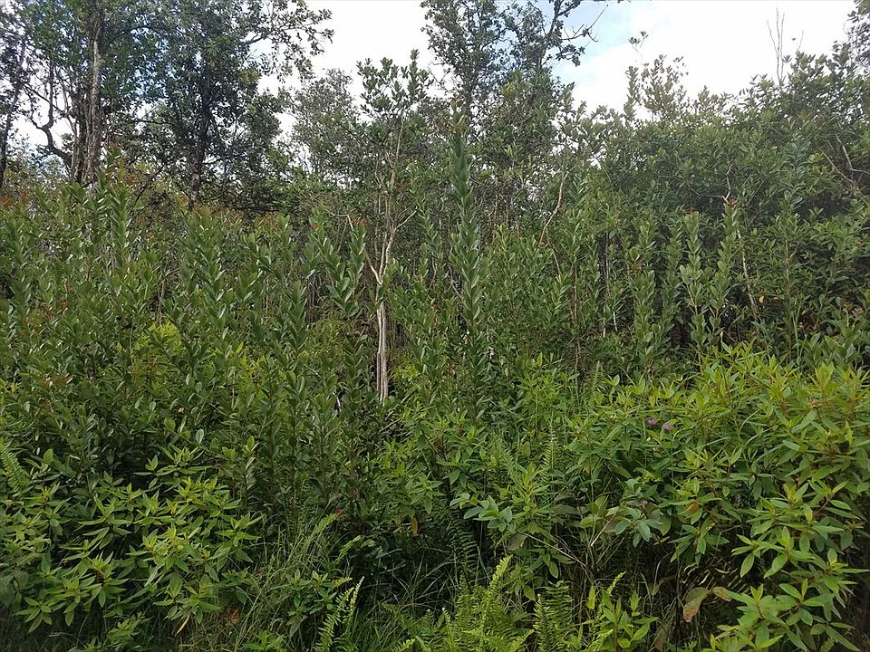 1st image of Road 10 Poouli Lot 5835