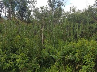 Road 10 Poouli LOT 5835, Kurtistown, HI 96760