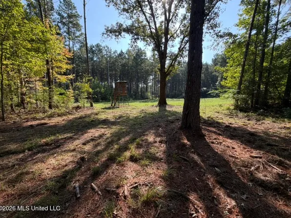 State Highway 18, Raleigh, MS 39153