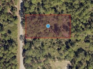 W Cashew Ct LOT 7, Eustis, FL 32736