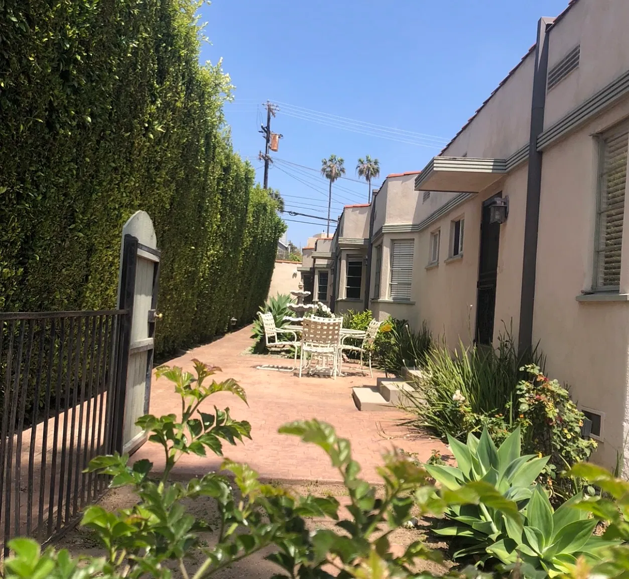 1 bed, 800 sqft, $3,199 — Photo 3