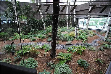 Sold by Maxwell Jacobs