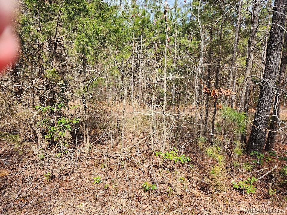 2nd image of Speckle Cove Rd