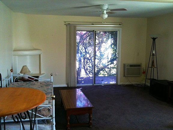 2nd image of 100 Orchid Springs Dr