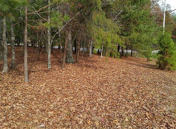 3rd image of 101 Kenwood Dr