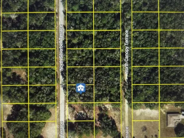 6515 N Silverbell Ter #13, Hernando, FL 34442