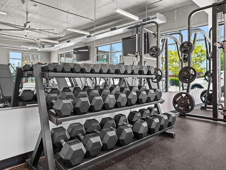 Free weights are available for strength training and everyday fitness.
