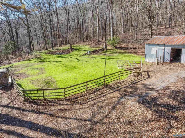 226 Walter Bird Dr, Owens Cross Roads, AL 35763