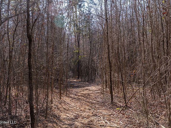 4th image of 0 Green Door Rd