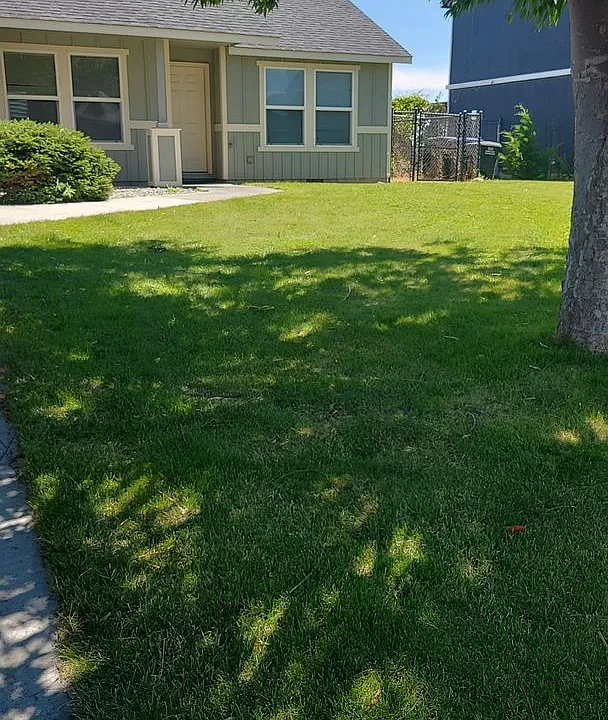 601 N Mississippi Dr