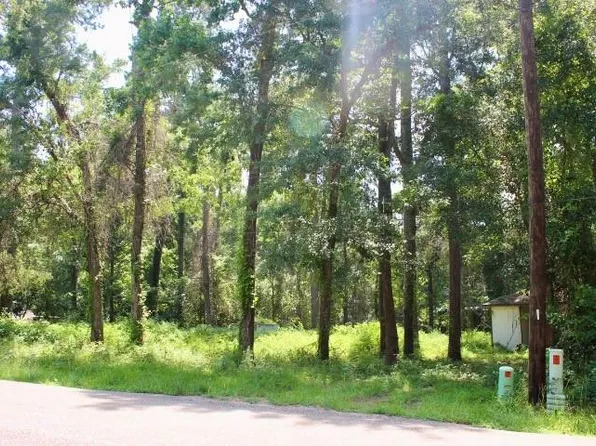 410 Dogwood Trl, Montgomery, TX 77316