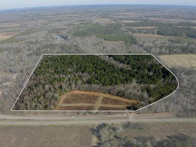 0 Highway 173, Abbeville, AL, 36310