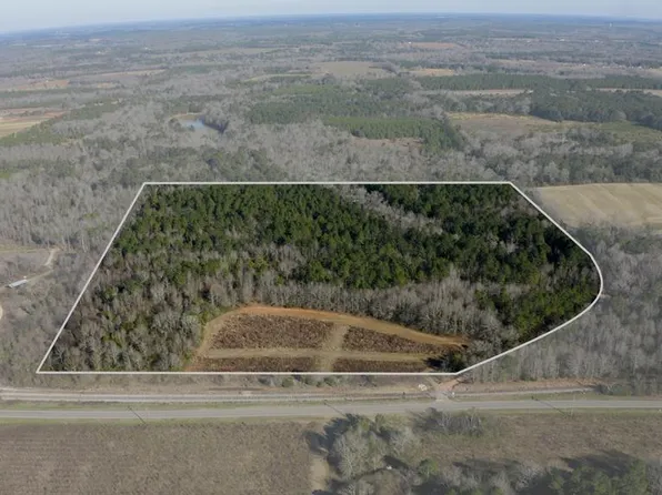 0 Highway 173, Abbeville, AL 36310
