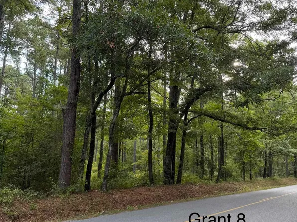 LOT 3 County Road 8, Sheridan, AR 72150
