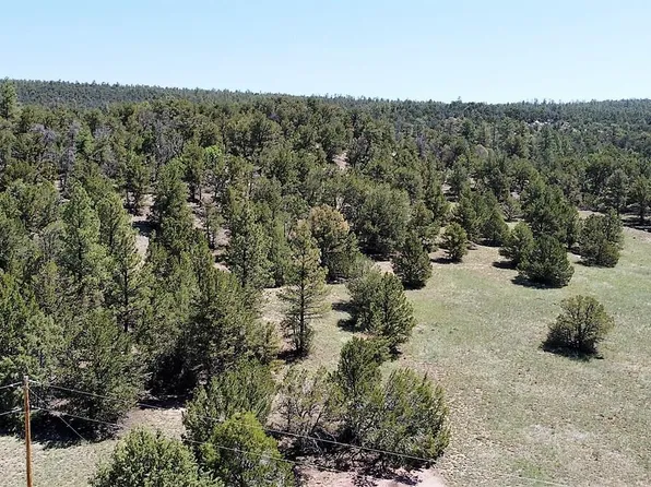 Of Juniper & Cuervo, Ramah, NM 87321