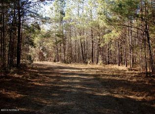 0 Highway 50, Maple Hill, NC 28454