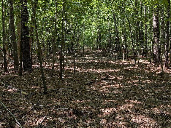 4th image of Tract B2 Thelma Road