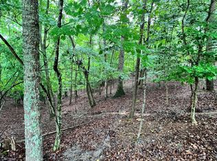 L2767 Morley Dr, Ellijay, GA 30540