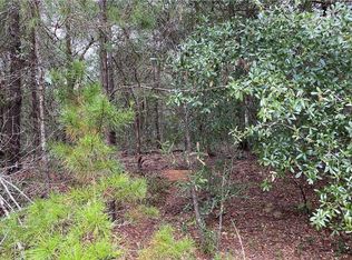 2331 W Juan Vega Ln, Dunnellon, FL 34434