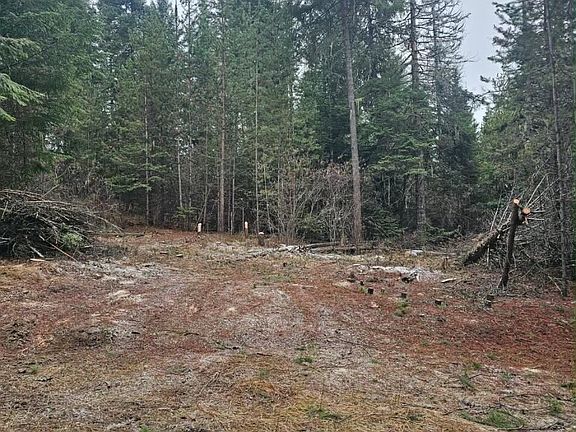 4th image of 821 Willow Loop Rd