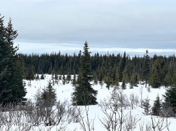 60655 Crossman Ridge Rd, Homer, AK 99603