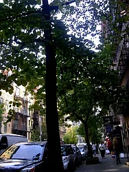 Rented by Prince Real Estate Associates LLC