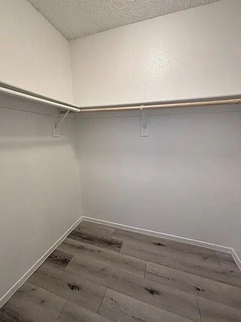 2 bed, 1.5 bath, 980 sqft, $1,734 — Photo 3