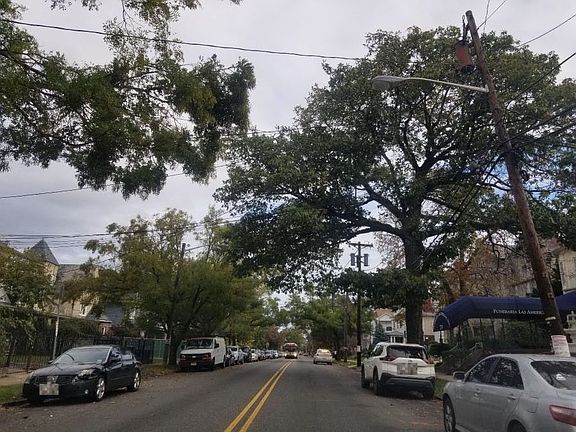 4th image of 535 Mount Prospect Ave