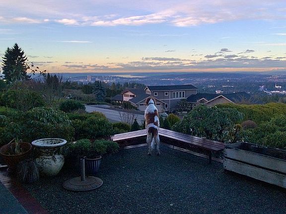 View from Patio