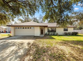 4723 County Road 306, Lake Panasoffkee, FL 33538