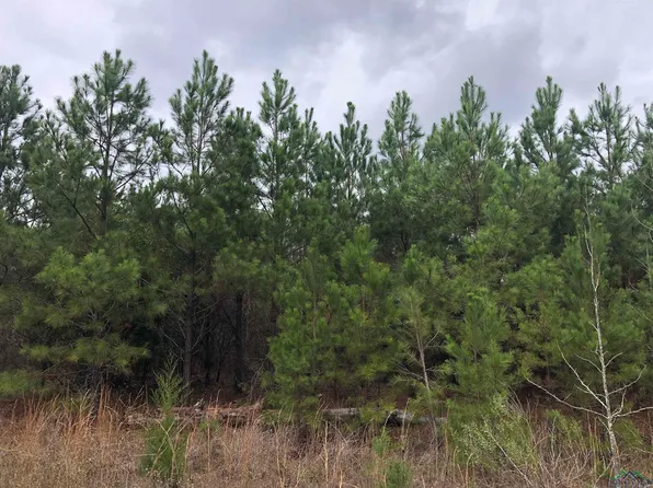 County Road 1110, Atlanta, TX 75551