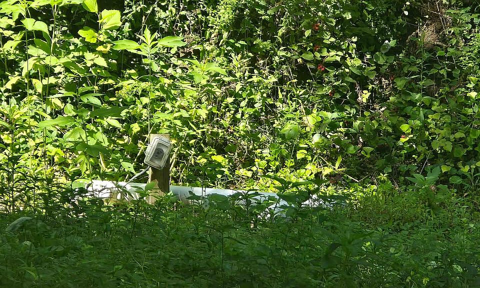 1st image of 646 Old Long Hollow Rd
